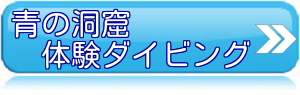 青の洞窟体験ダイビング